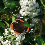 Bed & Breakfast La Riviere Du Bien Etre