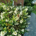 La Riviere Du Bien Etre 4* Chaumont-Gistoux