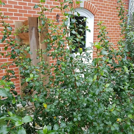 Bed & Breakfast La Riviere Du Bien Etre