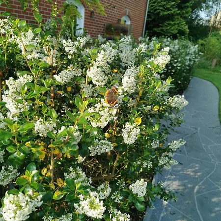 La Riviere Du Bien Etre 4* Chaumont-Gistoux